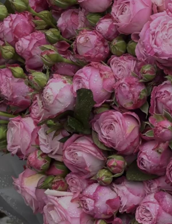 ارتباط با ما